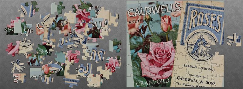 Roses jigsaw