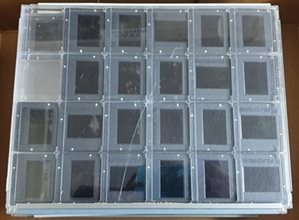 Slides from our collection